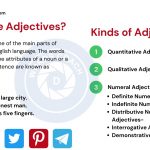 5 Different Types of Adjectives with Examples
