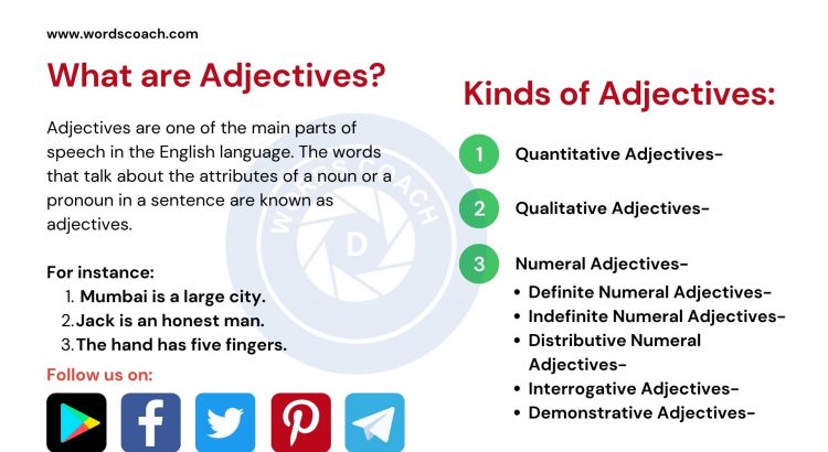 What are Adjectives? - www.wordscoach.com