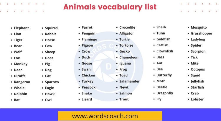 Animals vocabulary list - wordscoach.com