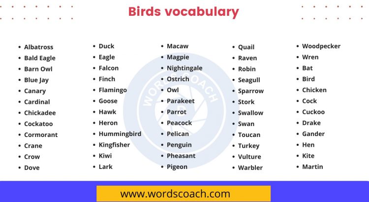 Birds vocabulary list - wordscoach.com