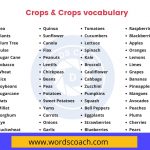 Crops & Crops vocabulary - wordscoach.com