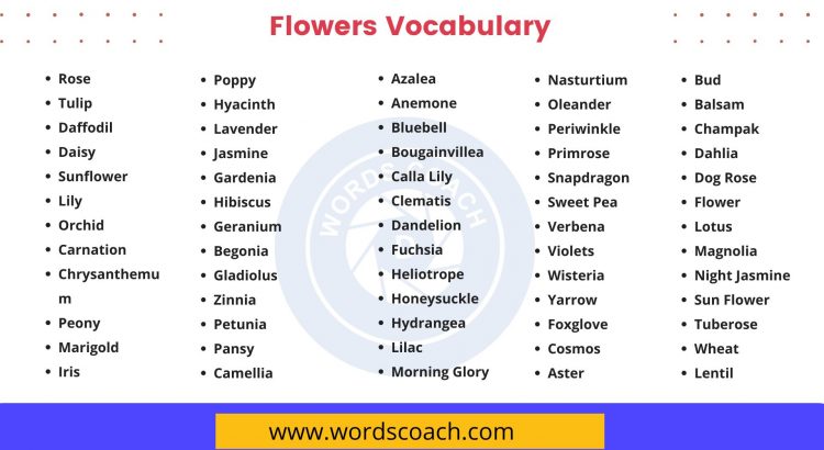 Flowers Vocabulary - wordscoach.com