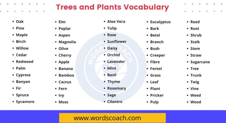 Trees and Plants Vocabulary - wordscoach.com