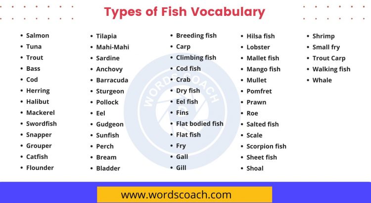 Types of fish Vocabulary - wordscoach.com