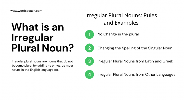 Irregular Plural Noun Word Coach
