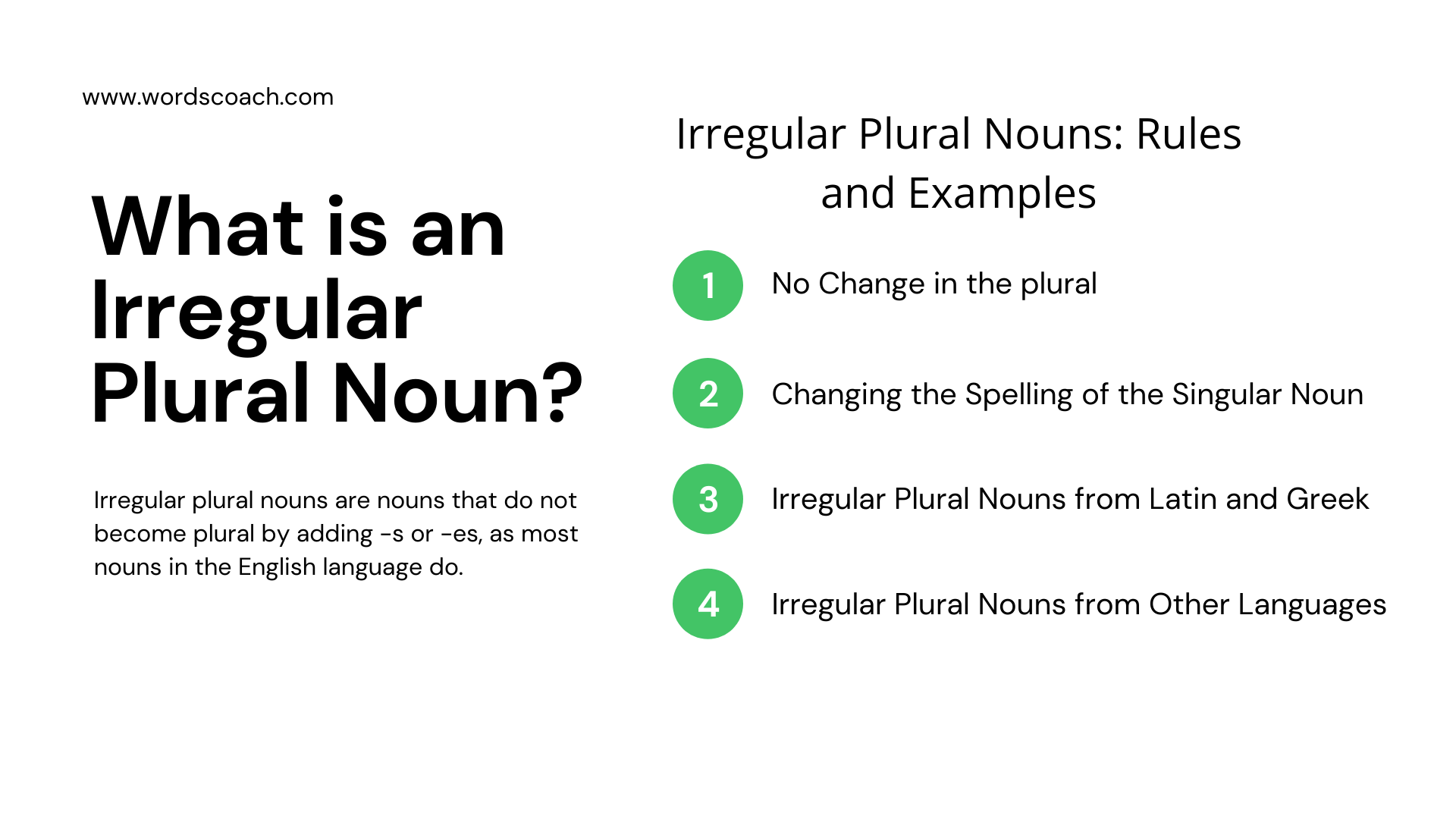 Irregular Plural Noun - Word Coach