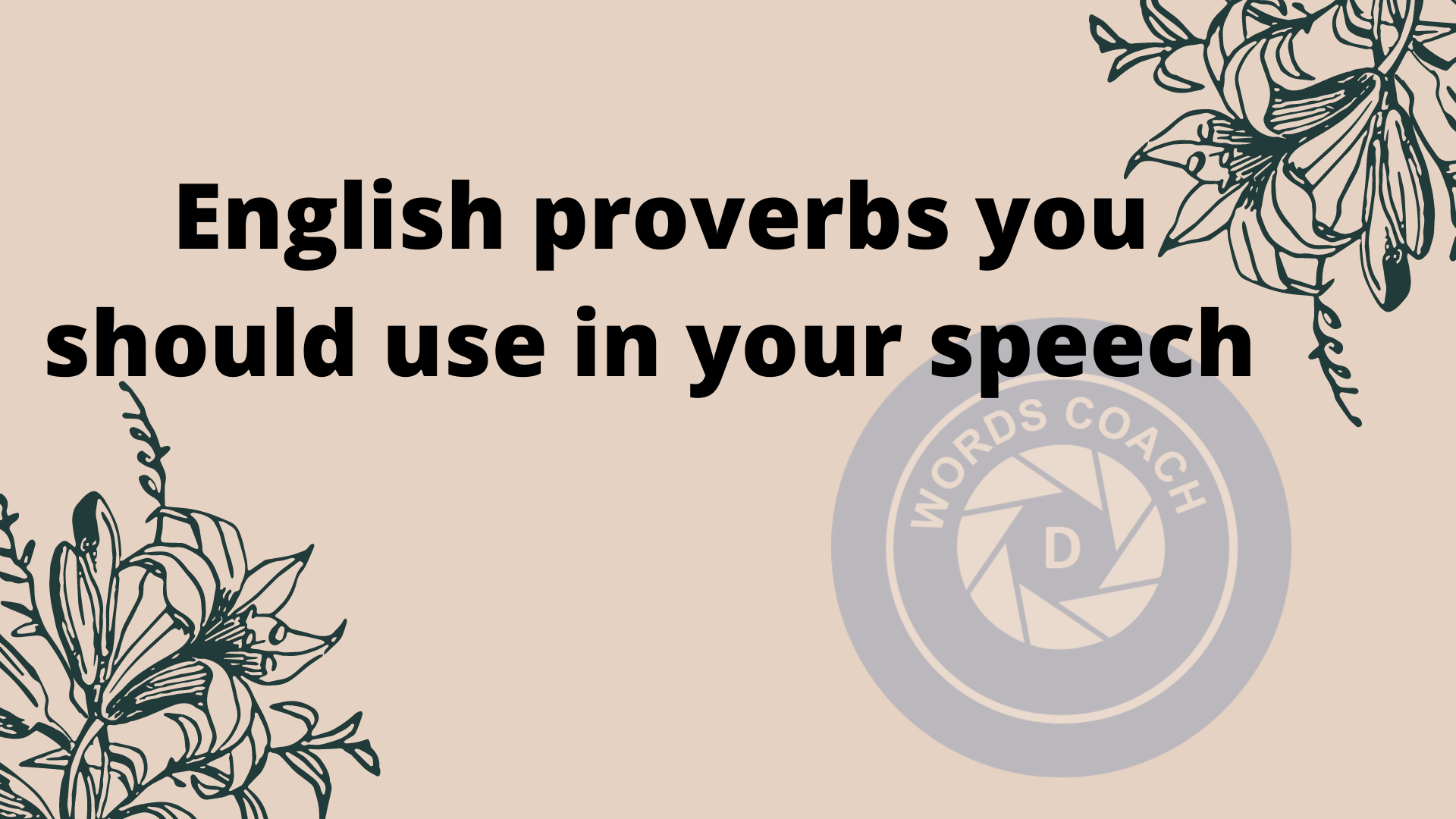 50 English proverbs you should use in your speech