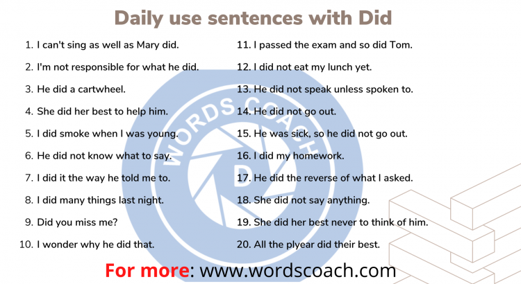 Daily use sentences with Did
