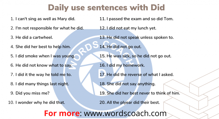 How and when to use Did with Daily use sentences