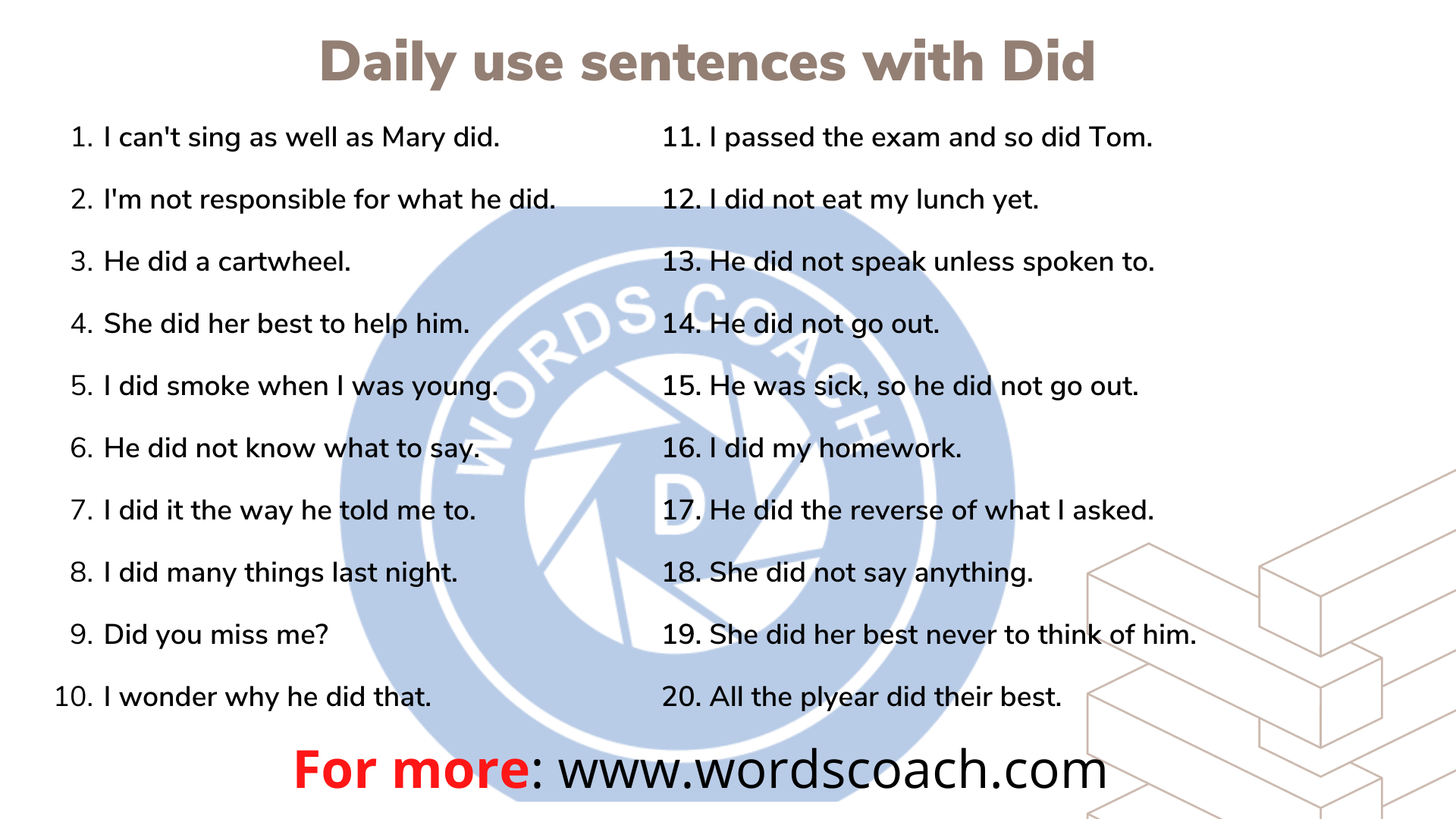 How and when to use Did with Daily use sentences
