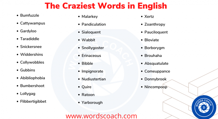 The Craziest Words in English - wordscoach.com