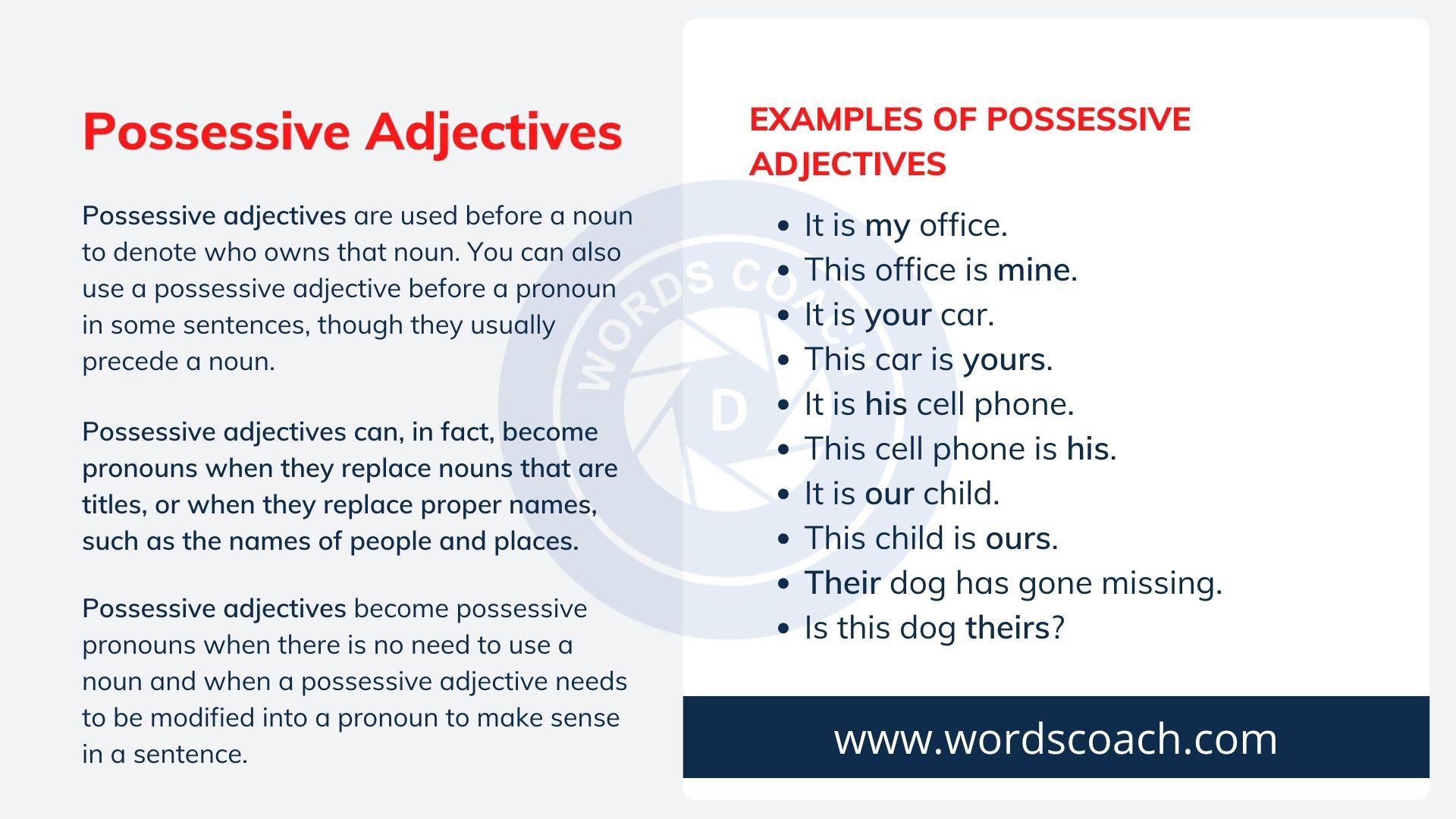 Long Form Possessive Adjectives Examples