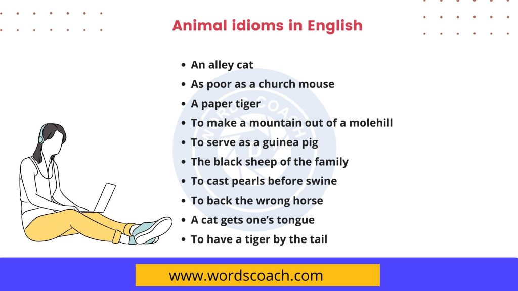 Animal idioms in English - wordscoach.com