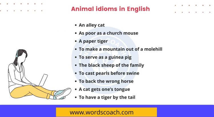 Animal idioms in English - wordscoach.com