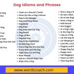 Dog Idioms and Phrases in the English Language - wordscoach.com
