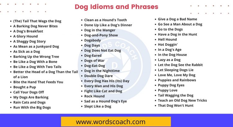 Dog Idioms and Phrases in the English Language - wordscoach.com