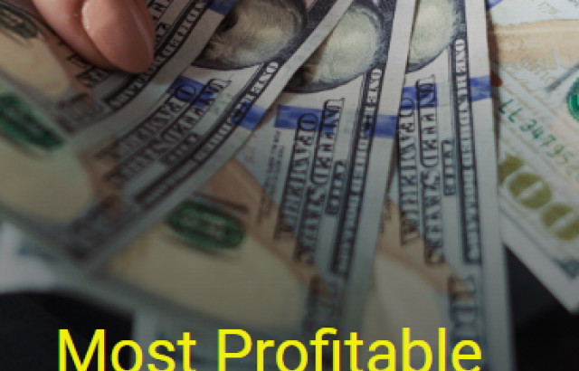 Most Profitable top Small Businesses
