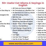 50+ Useful Cat Idioms & Sayings in English