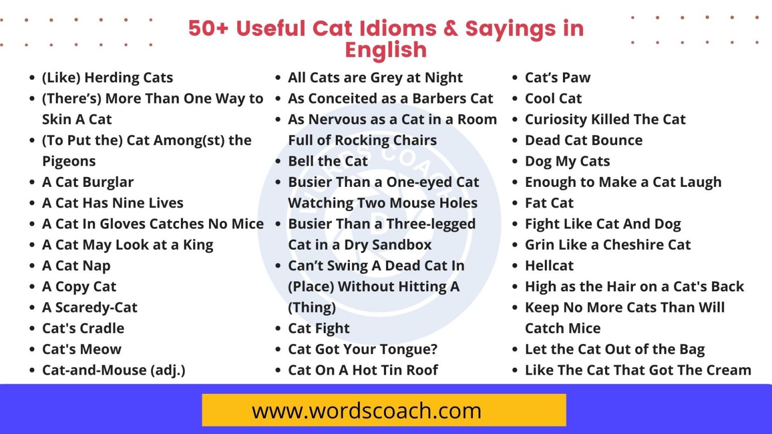 50+ Useful Cat Idioms & Sayings in English Word Coach