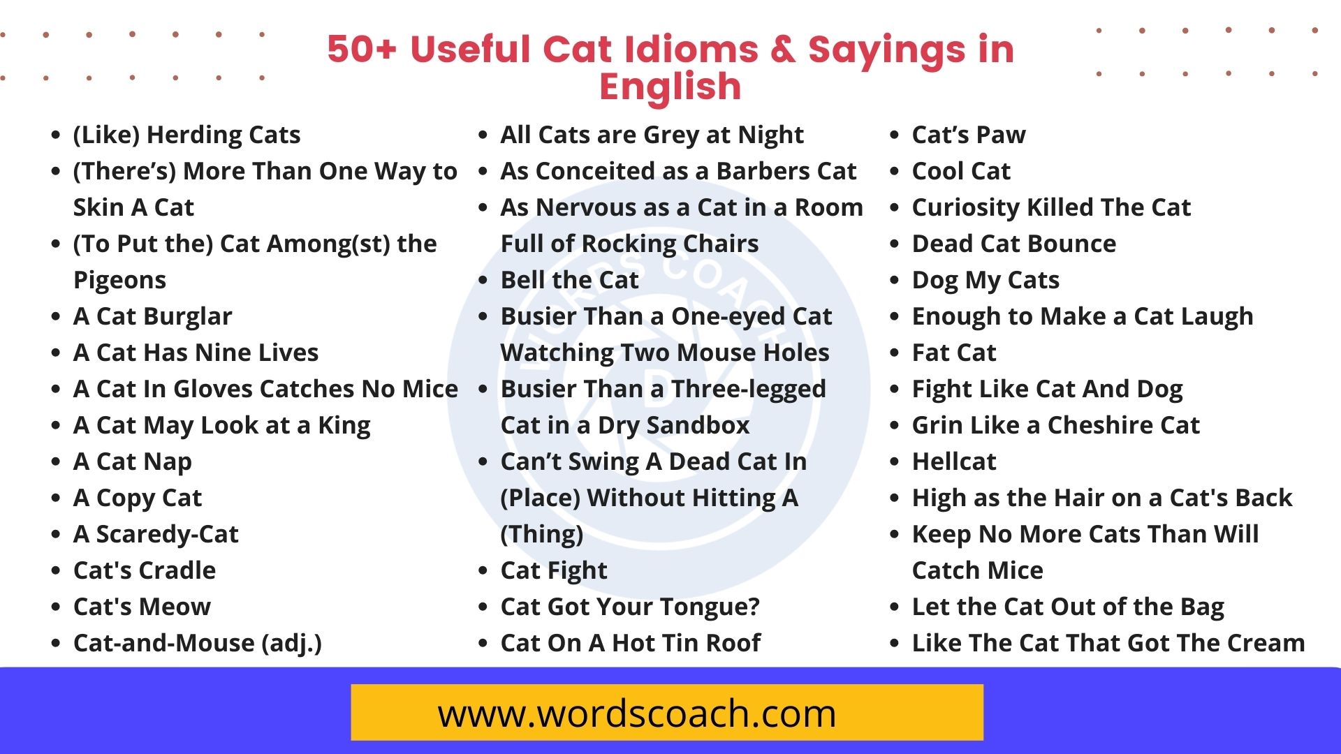 50+ Useful Cat Idioms & Sayings in English - Word Coach