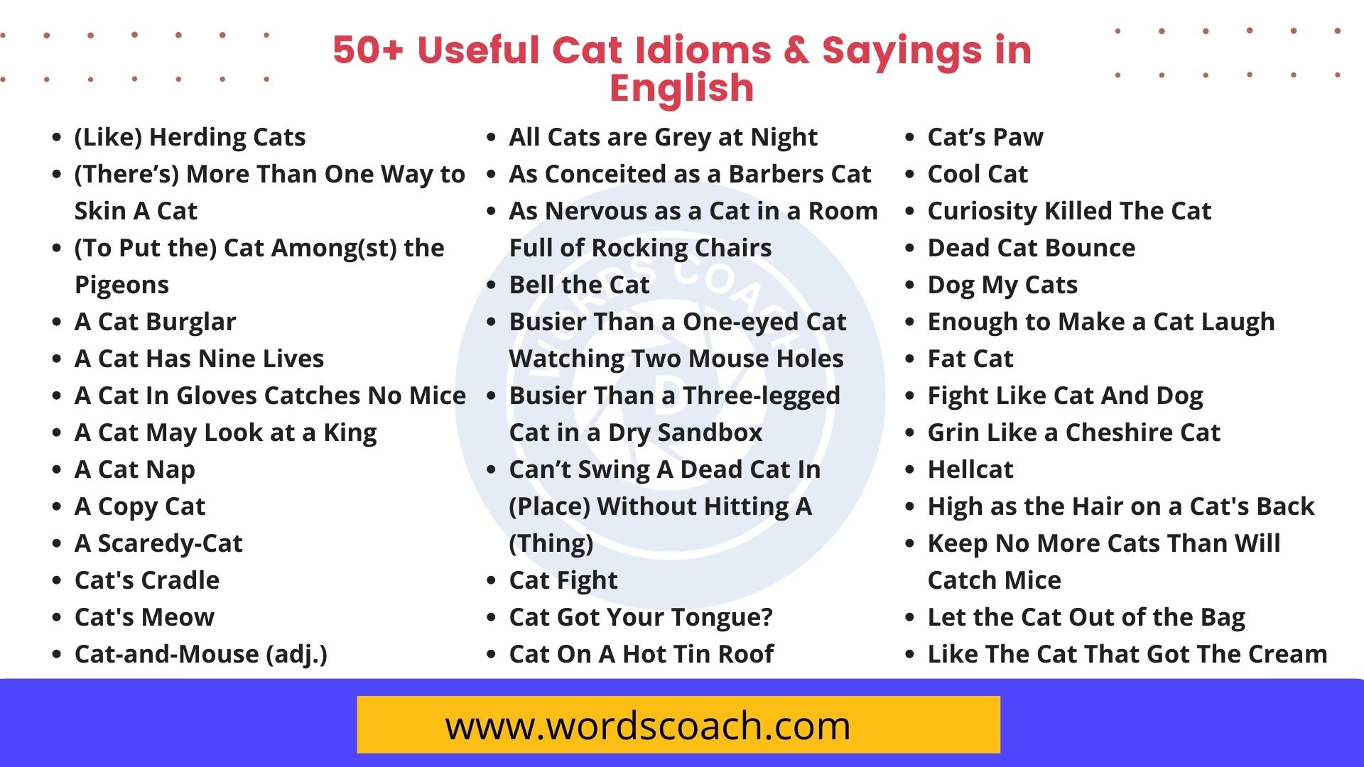 A guide to cat idioms and expressions, and how to use them - YP