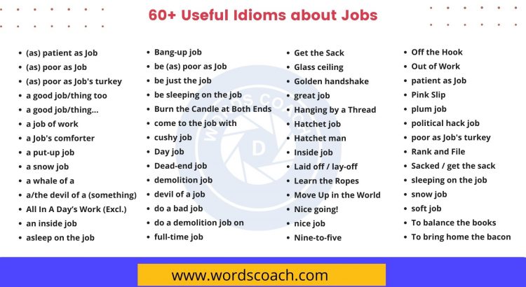 60+ Useful Idioms about Jobs - wordscoach.com