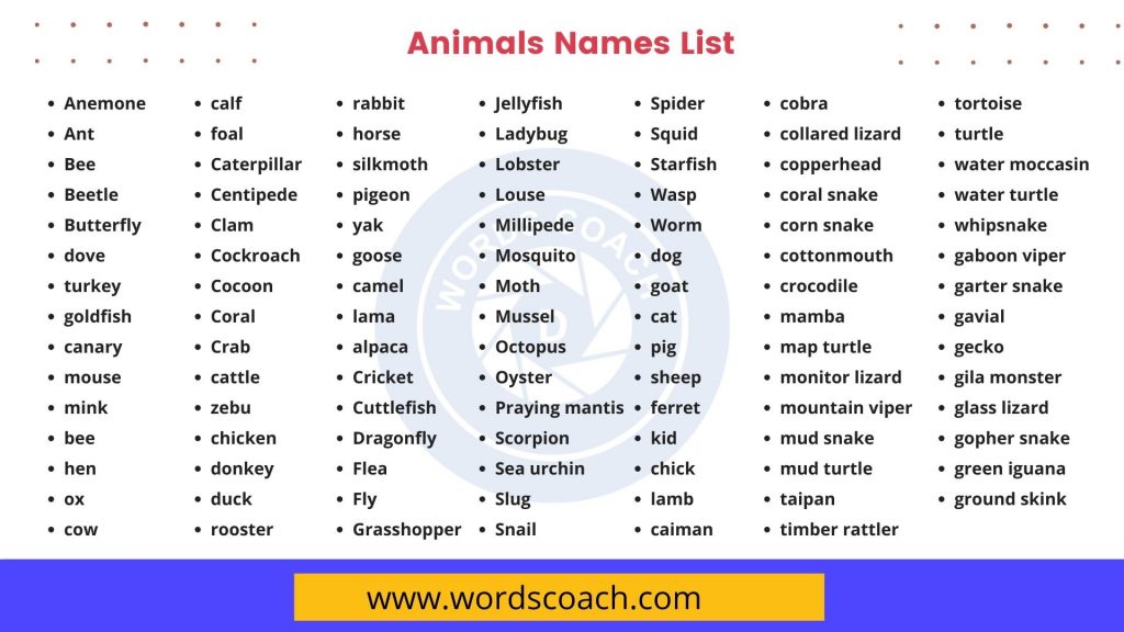 100 Animals Names, Animals Names List - Word Coach 100 Animals Names, Animals Names List - Word Coach