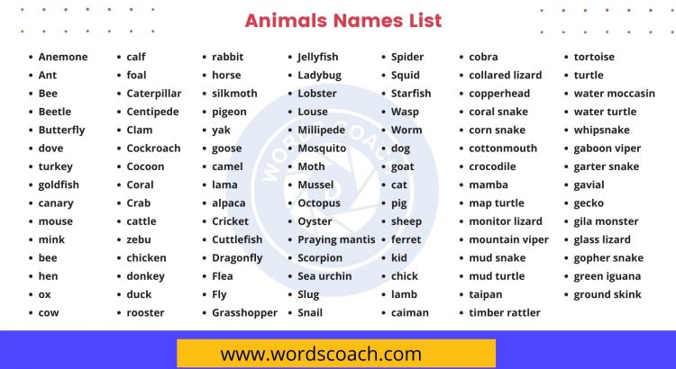 Animals Names List - wordscoach.com