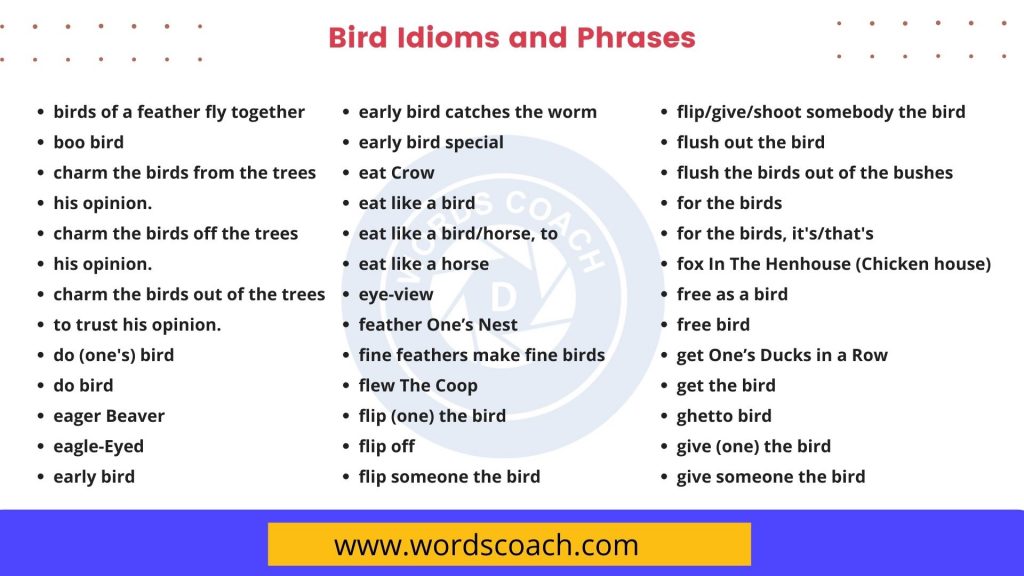 Bird Idioms and Phrases - wordscoach.com