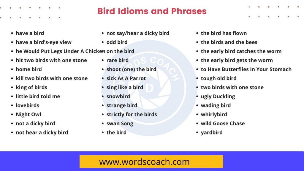 Bird Idioms and Phrases - wordscoach.com