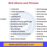 100+ Bird Idioms and Phrases