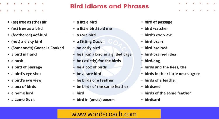 Bird Idioms and Phrases - wordscoach.com