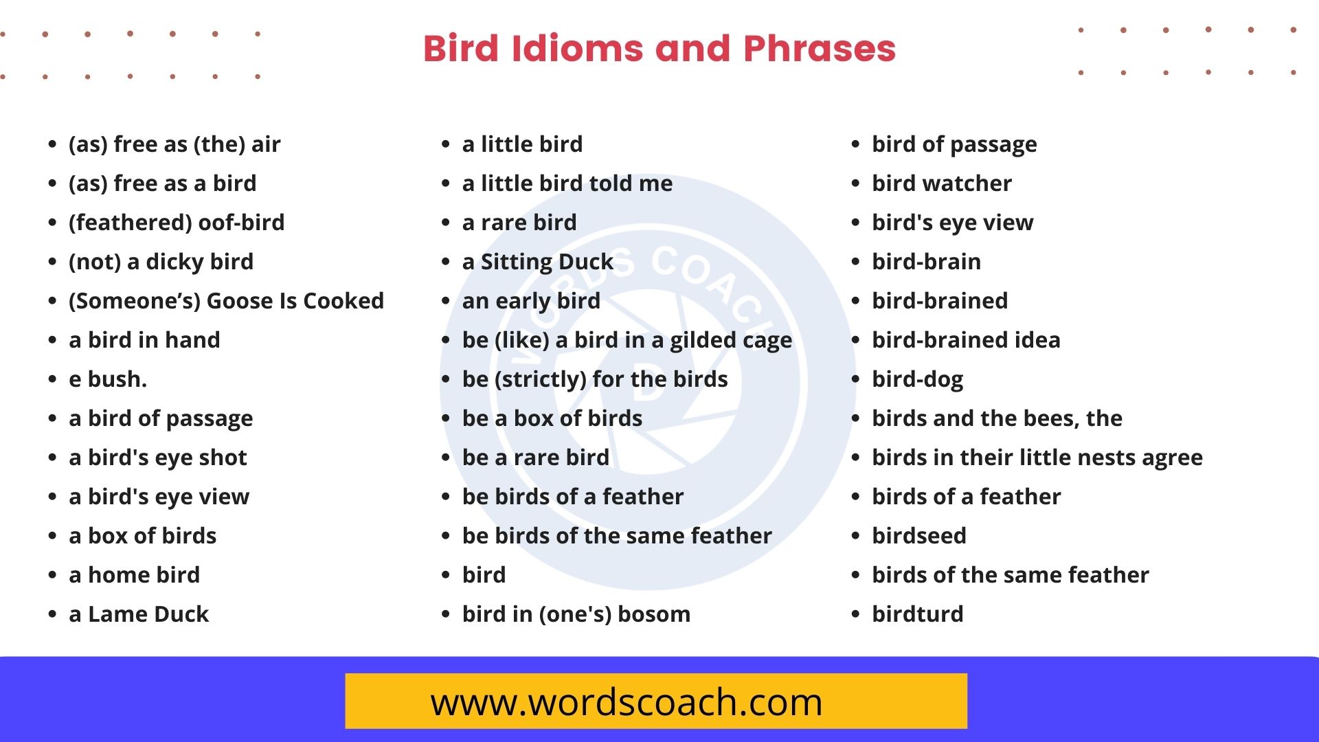 Wild Goose Chase Meaning, Examples, Synonyms