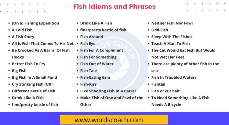 Fish Idioms and Phrases - wordscoach.com