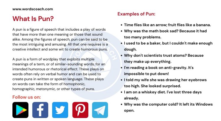 What Is Pun? - www.wordscoach.com