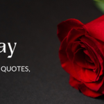Rose Day 2023: Wishes, Quotes, and Messages