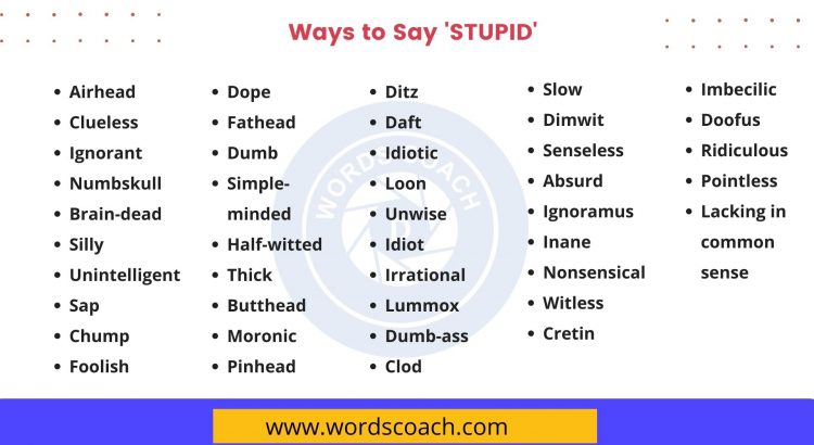Ways to Say STUPID - wordscoach.com