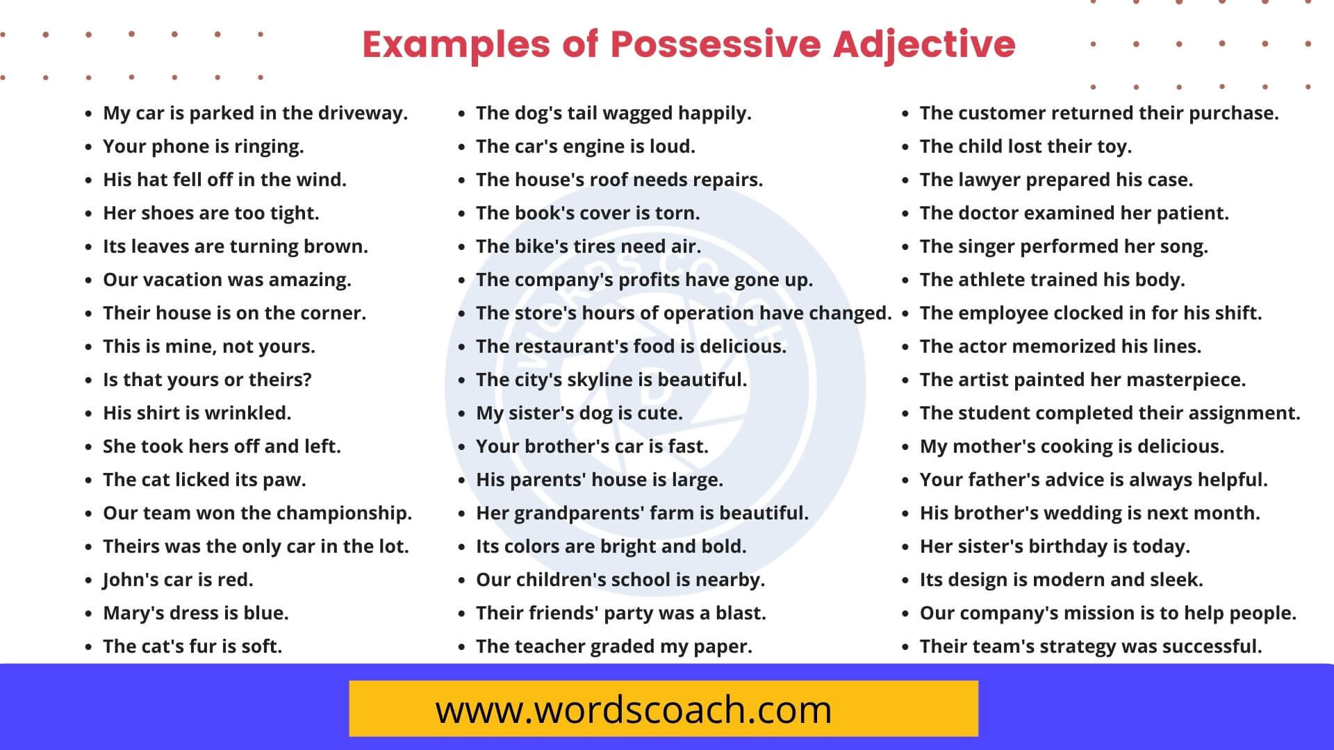 100-examples-of-possessive-adjective-word-coach