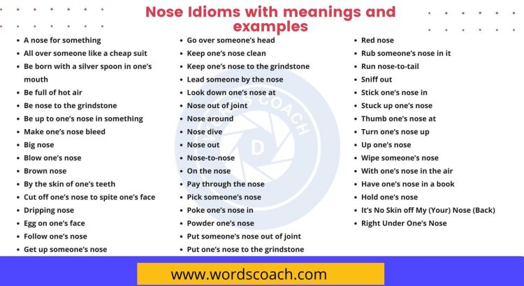 Nose Idioms with meanings and examples - wordscoach.com