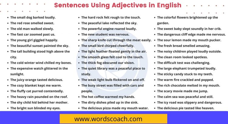 Sentences Using Adjectives in English - wordscoach.com