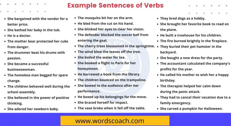 Example-Sentences-of-Verbs-wordscoach.com