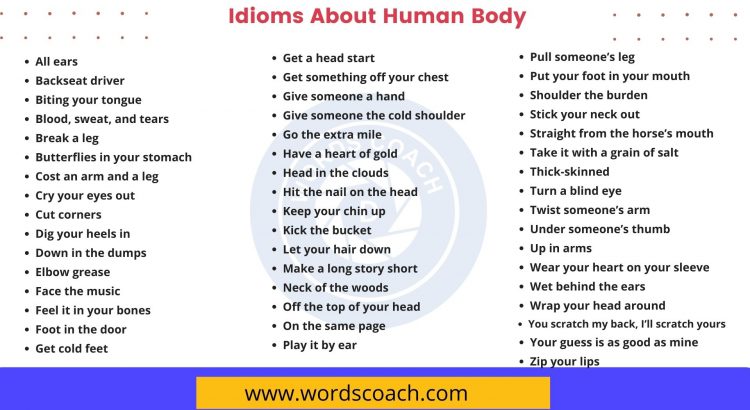 Idioms About Human Body - wordscoach.com