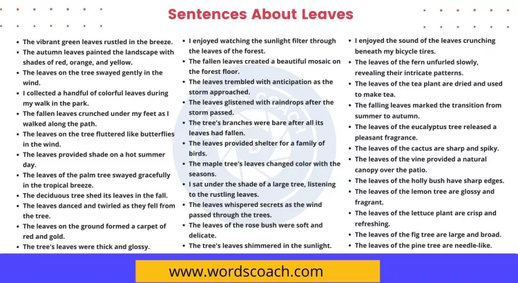 Sentences About Leaves - wordscoach.com
