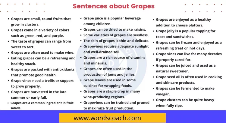 Sentences about Grapes - wordscoach.com