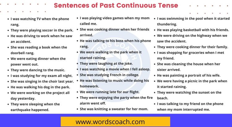 Simple Past Tense Explain with Example, Past Indefinite Tense