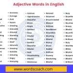 Adjective Words in English - wordscoach.com