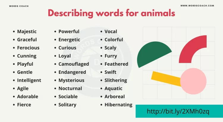 Describing words for animals - wordscoach.com