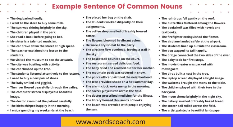 Example Sentence Of Common Nouns - wordscoach.com