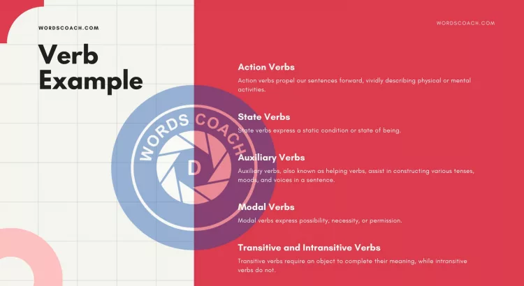 Verb Example - wordscoach.com
