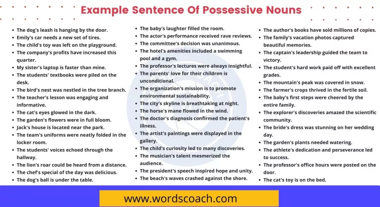 Example Sentence Of Possessive Nouns - wordscoach.com